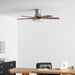 Liam Ceiling Fan Light - Simprolos