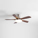 Liam Ceiling Fan Light - Simprolos