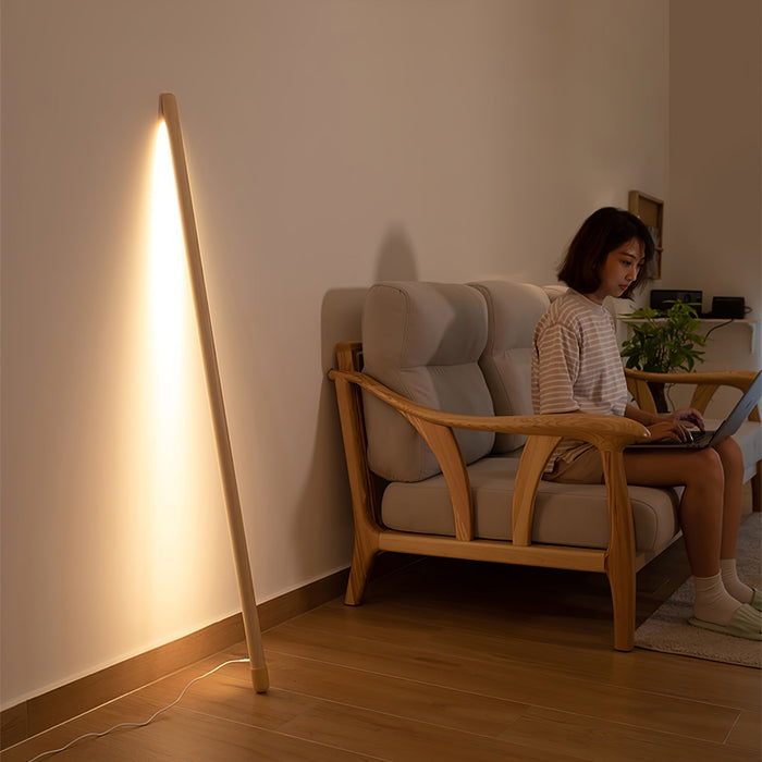 Line Assist Ambience Floor Lamp - Simprolos