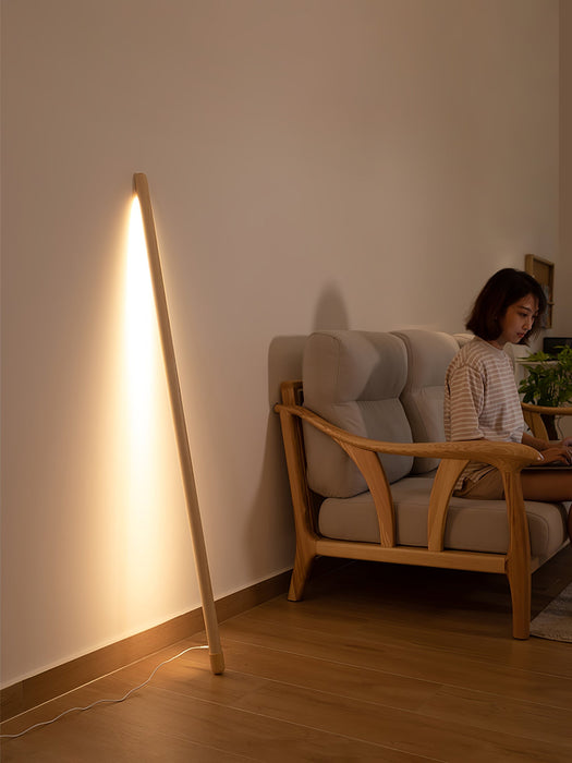 Line Assist Ambience Floor Lamp - Simprolos