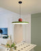 Lola Pendant Lamp - Simprolos