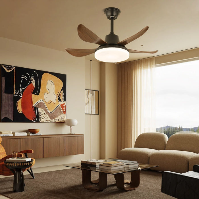Lucas Ceiling Fan Light - Simprolos