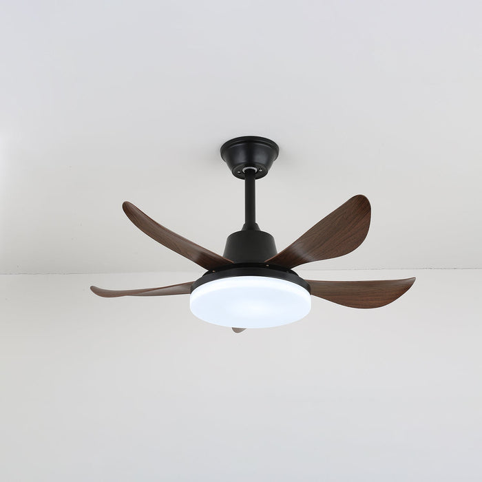 Lucas Ceiling Fan Light - Simprolos