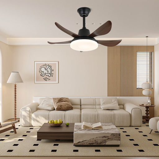 Lucas Ceiling Fan Light - Simprolos