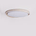 Lumen Arc Ceiling Light - Simprolos