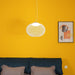 Metallic Meshwork Pendant Lamp - Simprolos