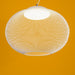 Metallic Meshwork Pendant Lamp - Simprolos