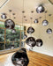 Modern Lava Pendant Lamp - Simprolos