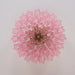 Murano Pink Glass Ceiling Light - Simprolos