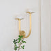 Mushroom Alabaster Wall Lamp - Simprolos