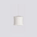 Nelson Swing Arm Pendant Lamp - Simprolos