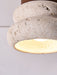 Neris Ceiling Lamp - Simprolos