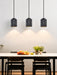 Nero Ridge Pendant Light - Simprolos