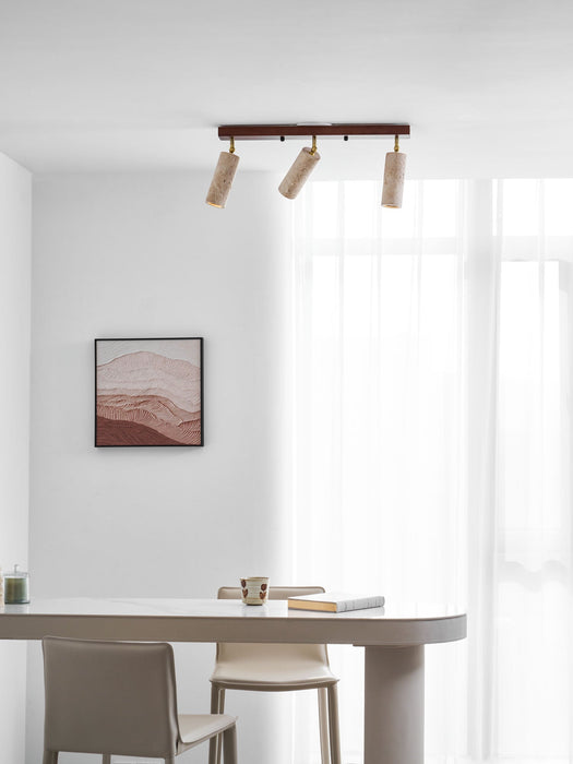 Nimbus Ceiling Spotlight - Simprolos