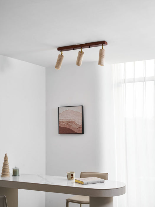 Nimbus Ceiling Spotlight - Simprolos