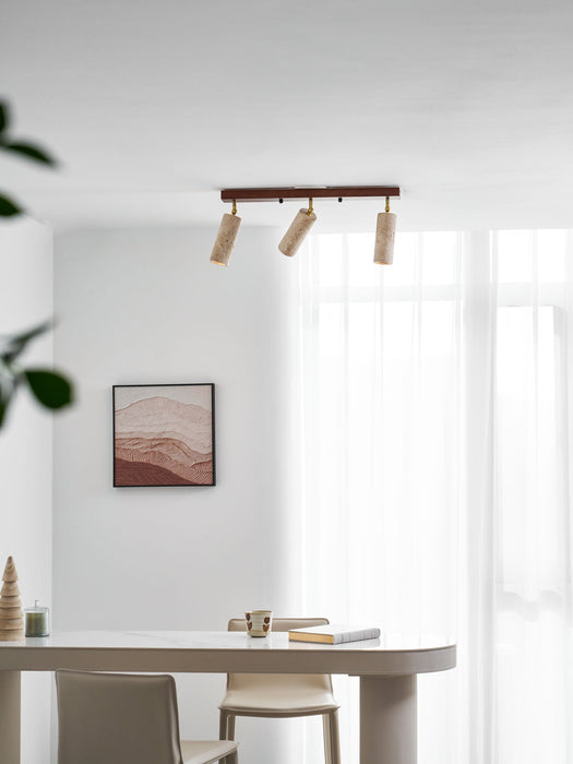 Nimbus Ceiling Spotlight - Simprolos