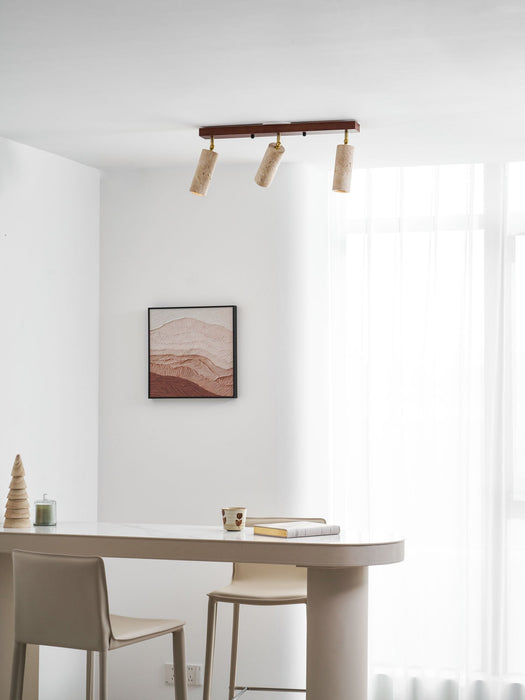Nimbus Ceiling Spotlight - Simprolos