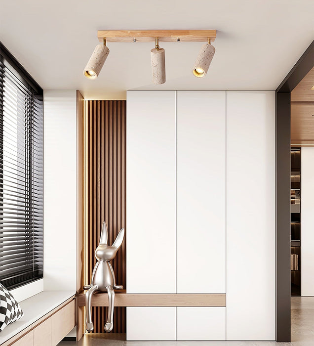 Nimbus Ceiling Spotlight - Simprolos