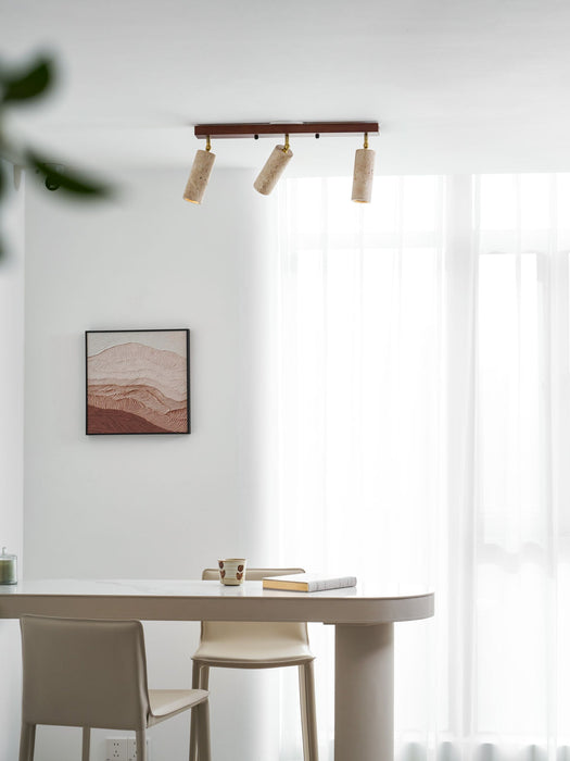 Nimbus Ceiling Spotlight - Simprolos