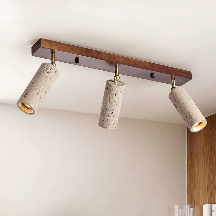 Nimbus Ceiling Spotlight - Simprolos