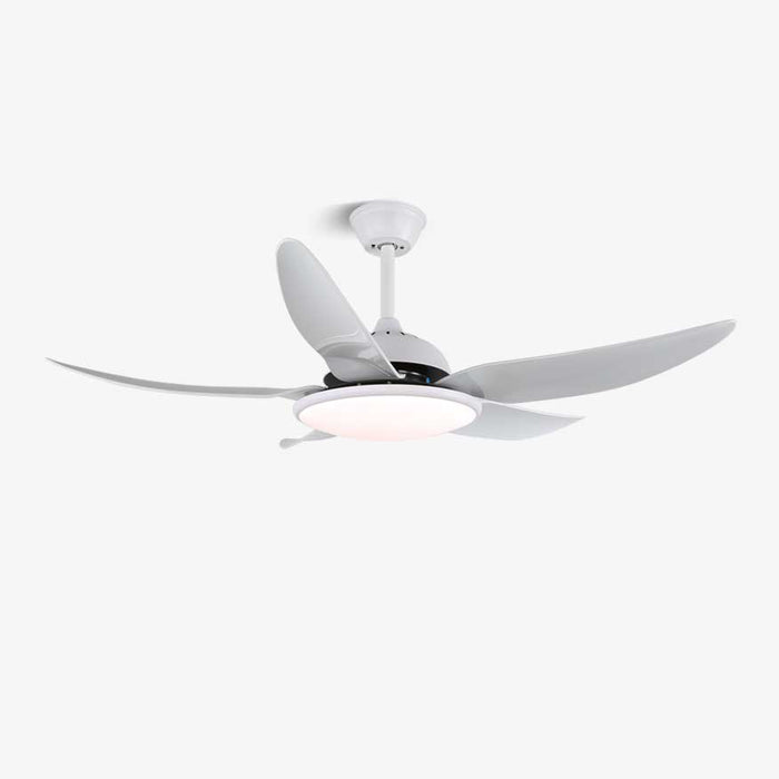 Noctura Ceiling Fan Light - Simprolos