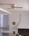 Nordic Wooden 42"/48" Ceiling Fan Light - Simprolos