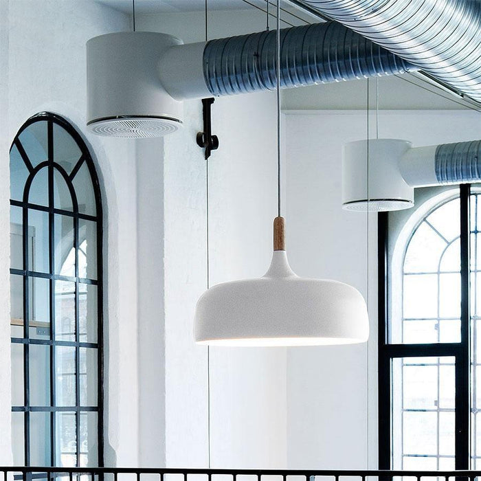 Acorn Pendant Light Vakkerlight