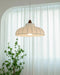 Novelty Pendant Lamp - Simprolos