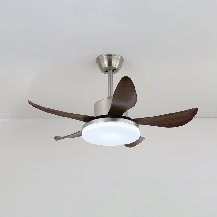 Oliver Ceiling Fan Light - Simprolos