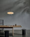 Opal Disc Suspension Lamp - Simprolos