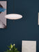 Opal Disc Suspension Lamp - Simprolos