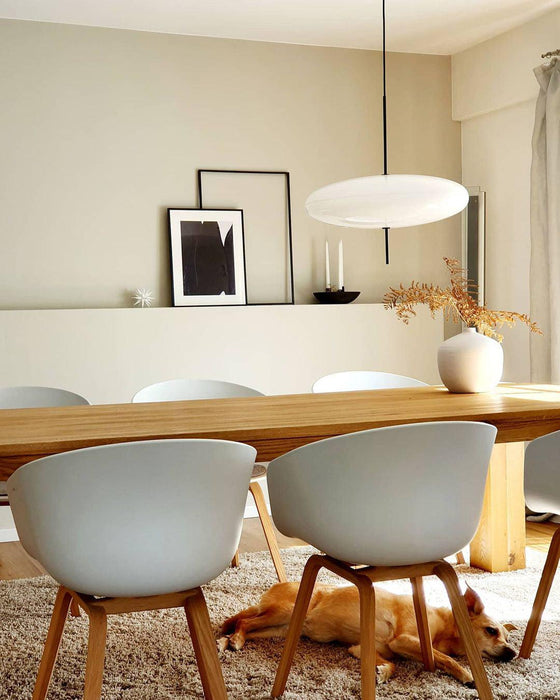 Opal Disc Suspension Lamp - Simprolos
