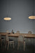 Opal Disc Suspension Lamp - Simprolos