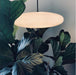 Opal Disc Suspension Lamp - Simprolos