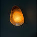 Organic Gilded Pebble Alabaster Sconce - Simprolos