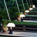 Pipistrello Table Lamp - Simprolos
