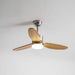 Polaris Ceiling Fan Light - Simprolos