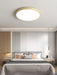 Puck LED Flush Mount Ceiling Light - Simprolos