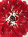 Red Glass Petals Chandelier - Simprolos