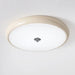 Retro Simple LED Ceiling Light - Simprolos