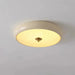 Retro Simple LED Ceiling Light - Simprolos