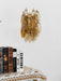 Rhombus Glass Wall Lamp - Simprolos