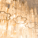 Rina Firenze Chandelier - Simprolos