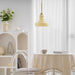 Schoolhouse Glass Pendant Light - Simprolos