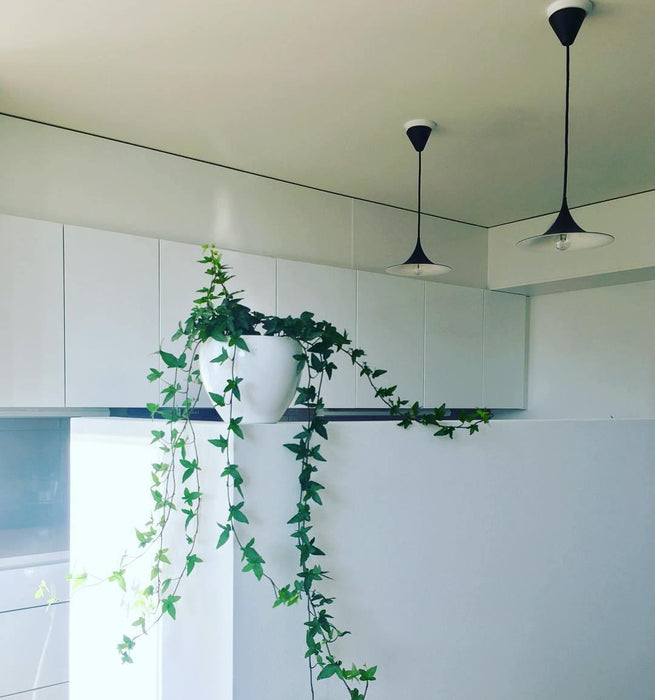 Semi Pendant Light - Simprolos