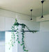 Semi Pendant Light - Simprolos