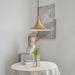 Semi Pendant Light - Simprolos
