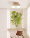 Solstice Trio Ceiling Lamp - Simprolos