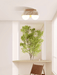 Solstice Trio Ceiling Lamp - Simprolos