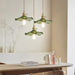 Stylish Hibiscus Flower Glass Pendant Light - Simprolos